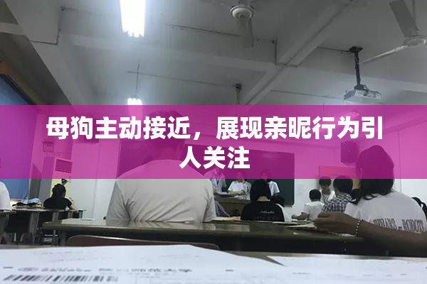 母狗主动接近，展现亲昵行为引人关注