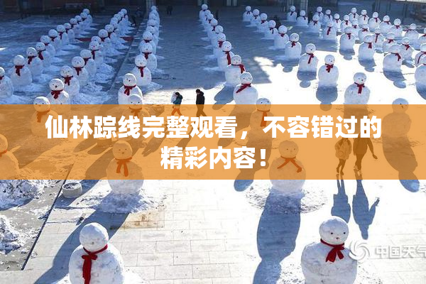 仙林踪线完整观看，不容错过的精彩内容！