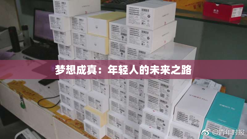 梦想成真：年轻人的未来之路