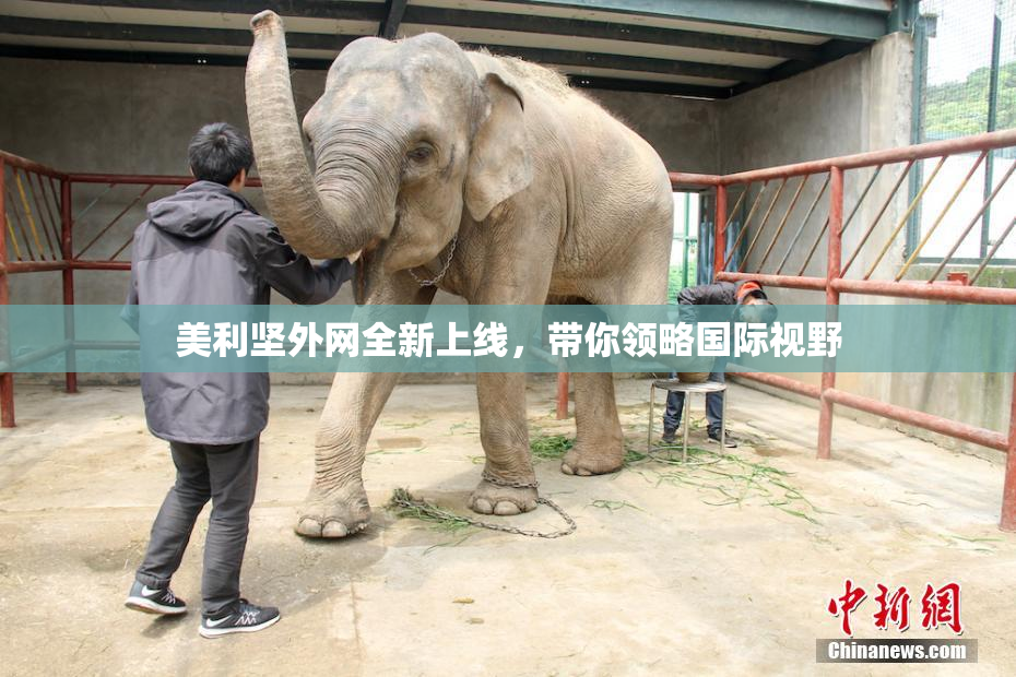 美利坚外网全新上线，带你领略国际视野