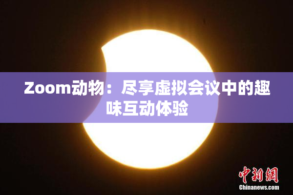 Zoom动物：尽享虚拟会议中的趣味互动体验