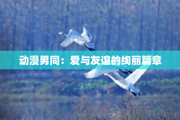 动漫男同：爱与友谊的绚丽篇章