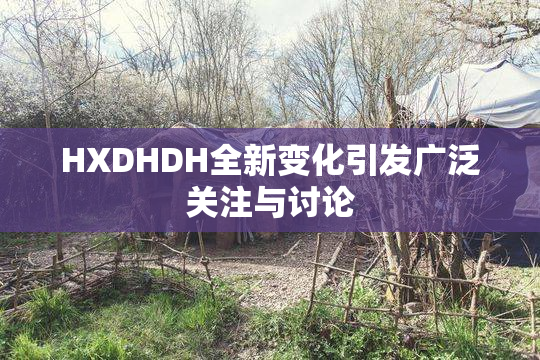 HXDHDH全新变化引发广泛关注与讨论