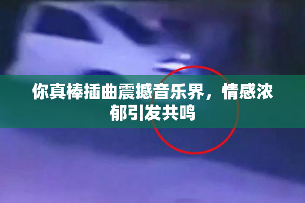 你真棒插曲震撼音乐界，情感浓郁引发共鸣