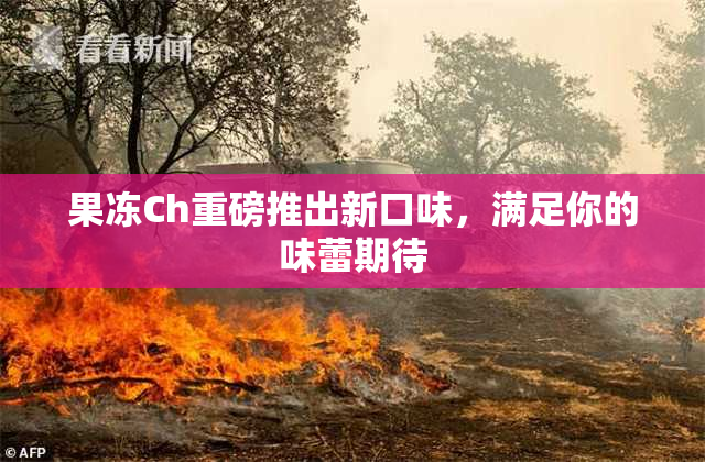 果冻Ch重磅推出新口味，满足你的味蕾期待