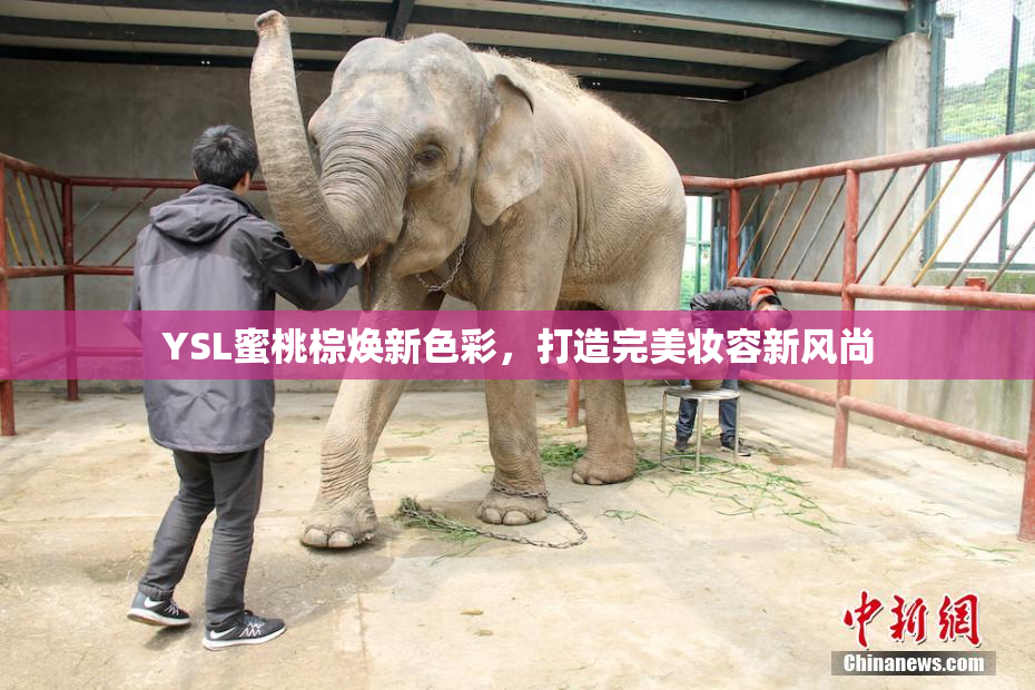 YSL蜜桃棕焕新色彩，打造完美妆容新风尚