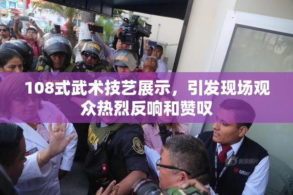 108式武术技艺展示，引发现场观众热烈反响和赞叹