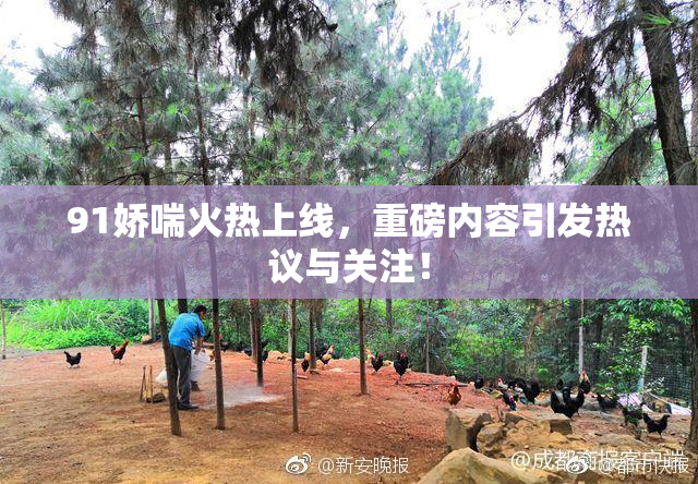 91娇喘火热上线，重磅内容引发热议与关注！