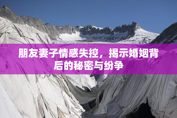 朋友妻子情感失控，揭示婚姻背后的秘密与纷争