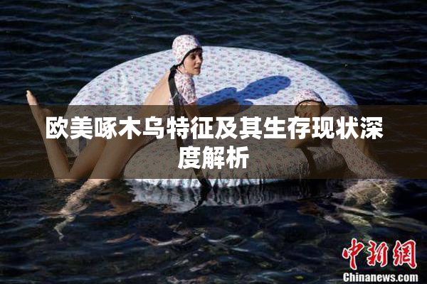欧美啄木乌特征及其生存现状深度解析