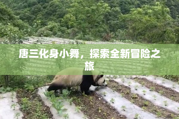 唐三化身小舞，探索全新冒险之旅