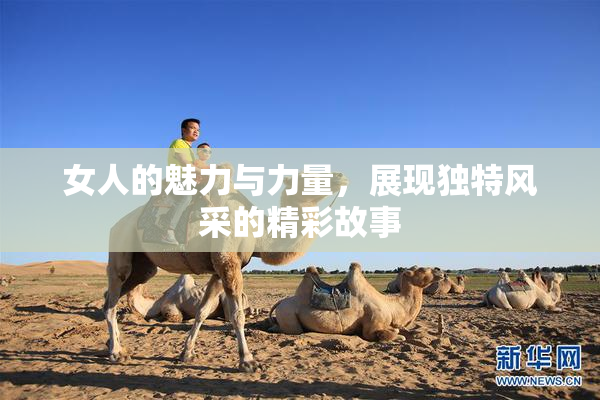 女人的魅力与力量，展现独特风采的精彩故事