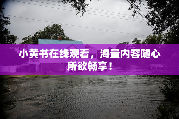 小黄书在线观看，海量内容随心所欲畅享！