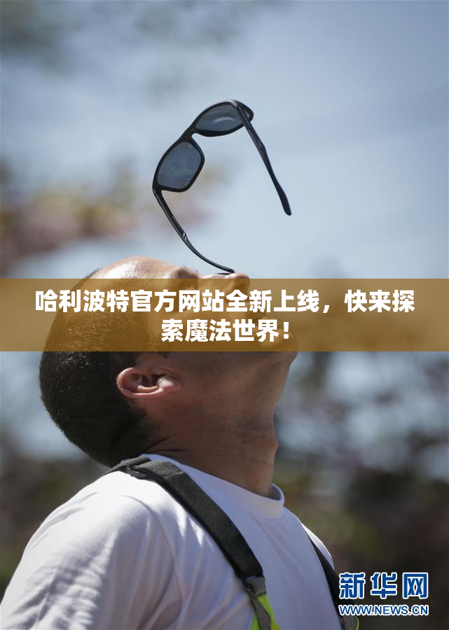 哈利波特官方网站全新上线，快来探索魔法世界！