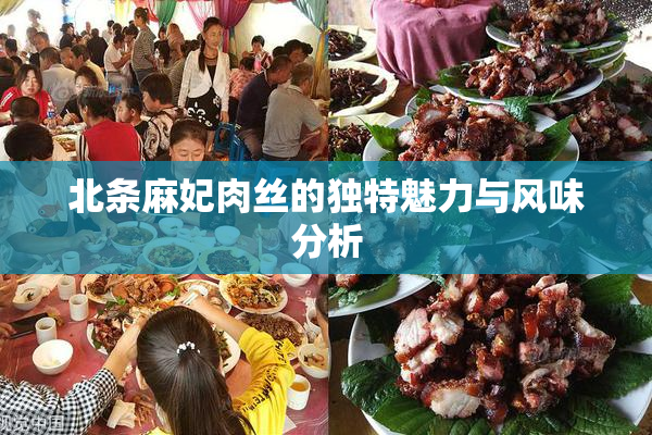 北条麻妃肉丝的独特魅力与风味分析