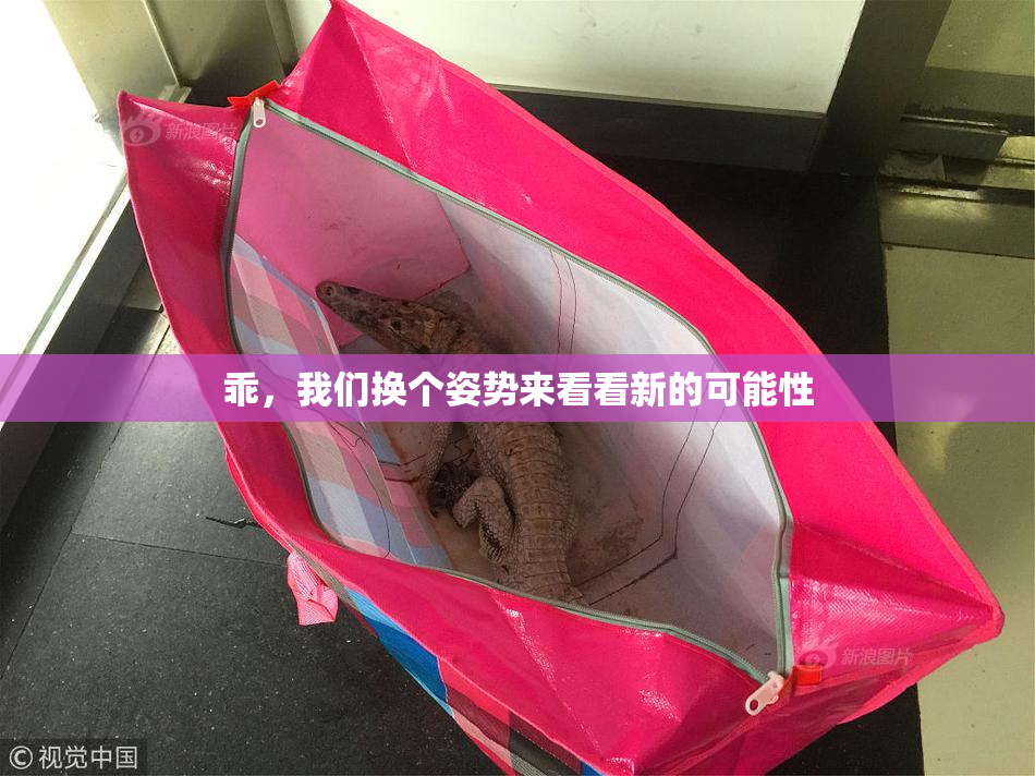 乖，我们换个姿势来看看新的可能性