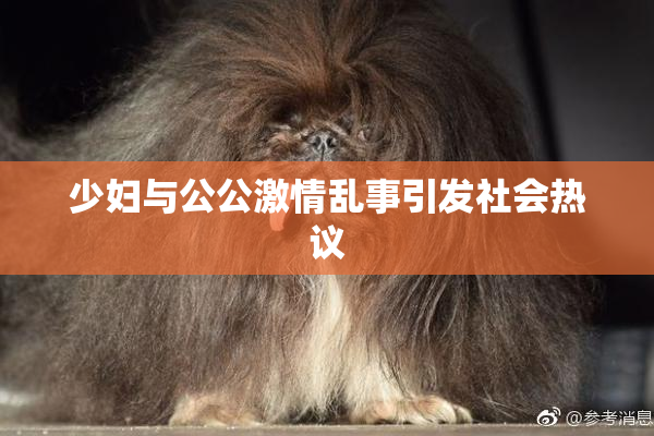 少妇与公公激情乱事引发社会热议