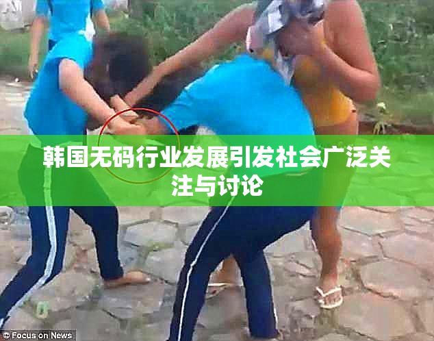 韩国无码行业发展引发社会广泛关注与讨论