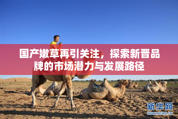 国产嫩草再引关注，探索新晋品牌的市场潜力与发展路径