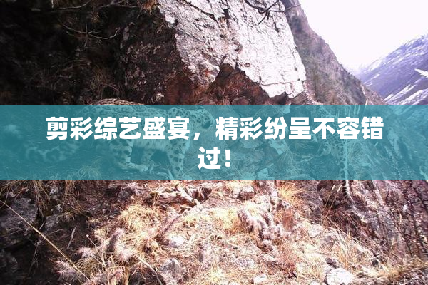 剪彩综艺盛宴，精彩纷呈不容错过！