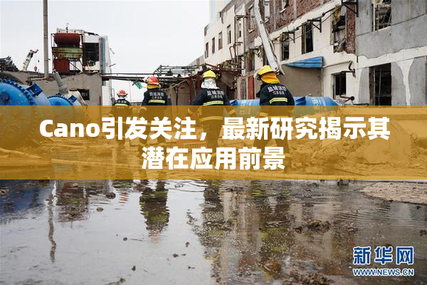 Cano引发关注，最新研究揭示其潜在应用前景