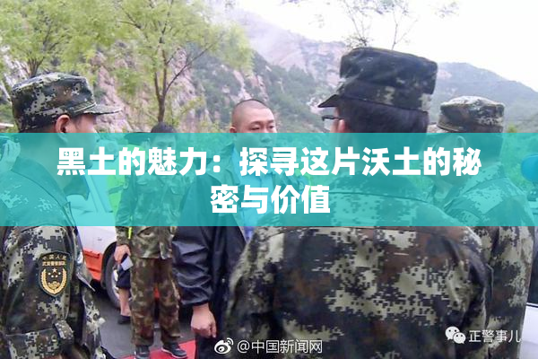 黑土的魅力：探寻这片沃土的秘密与价值