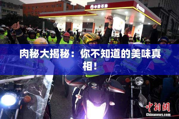 肉秘大揭秘：你不知道的美味真相！