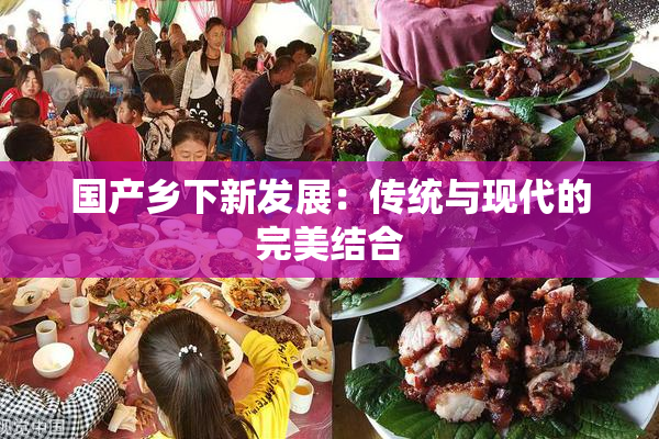 国产乡下新发展：传统与现代的完美结合