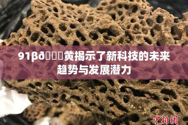 91β🔞黄揭示了新科技的未来趋势与发展潜力