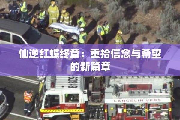 仙逆红蝶终章：重拾信念与希望的新篇章