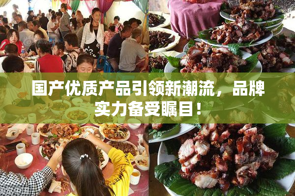 国产优质产品引领新潮流，品牌实力备受瞩目！
