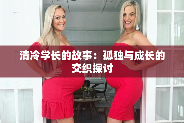 清冷学长的故事：孤独与成长的交织探讨