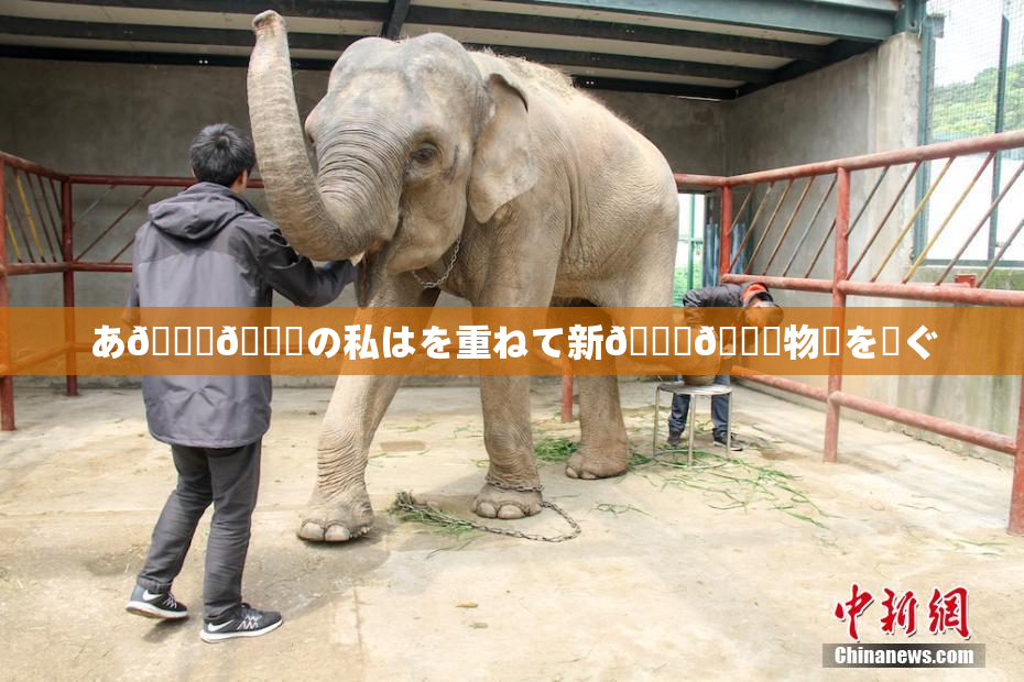 あ🍑👅の私はを重ねて新👅🍑物語を紡ぐ