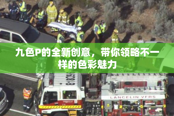 九色P的全新创意，带你领略不一样的色彩魅力