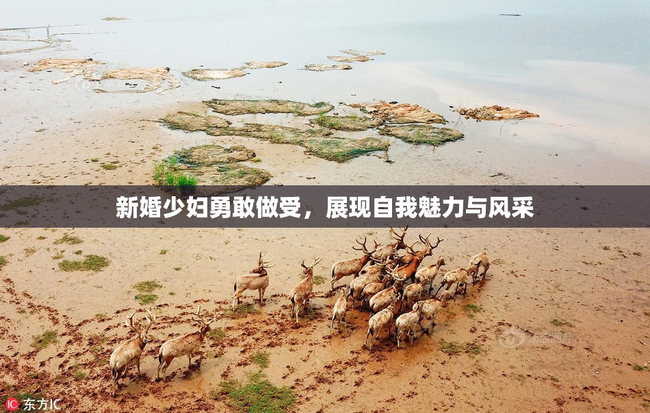 新婚少妇勇敢做受，展现自我魅力与风采