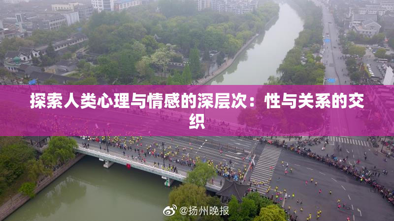 探索人类心理与情感的深层次：性与关系的交织