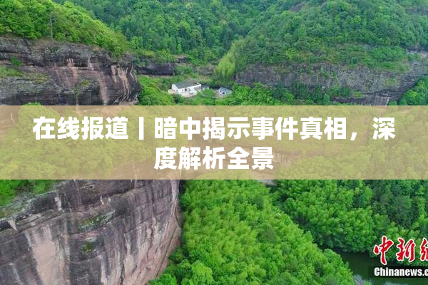 在线报道丨暗中揭示事件真相，深度解析全景
