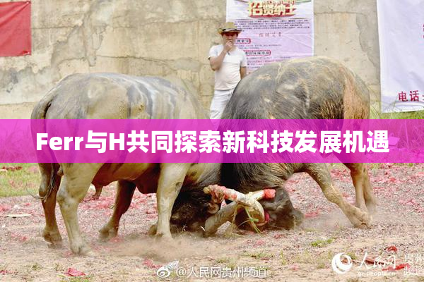 Ferr与H共同探索新科技发展机遇
