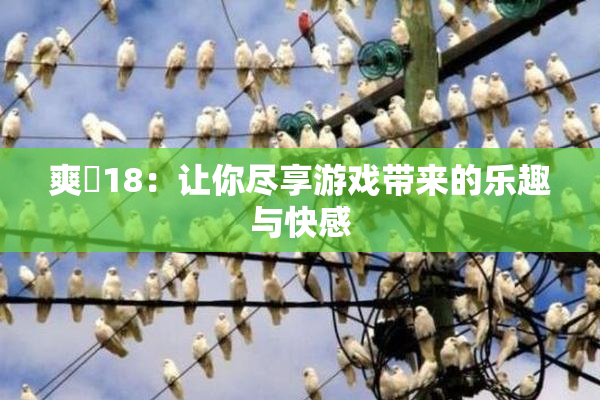 爽擼18：让你尽享游戏带来的乐趣与快感