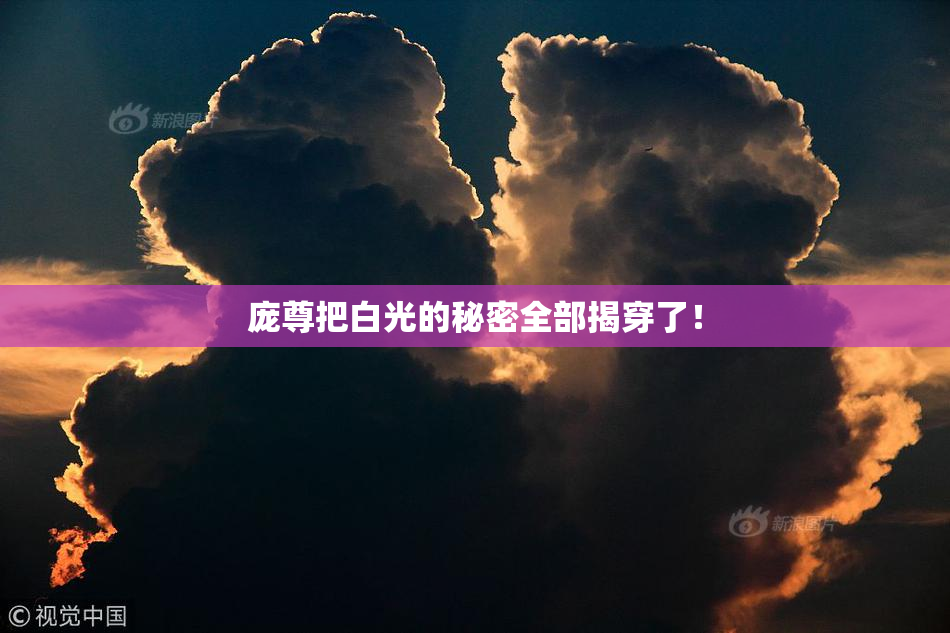庞尊把白光的秘密全部揭穿了！