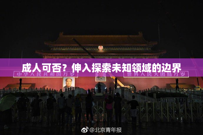 成人可否？伸入探索未知领域的边界