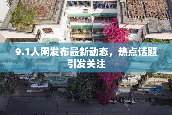 9.1人网发布最新动态，热点话题引发关注