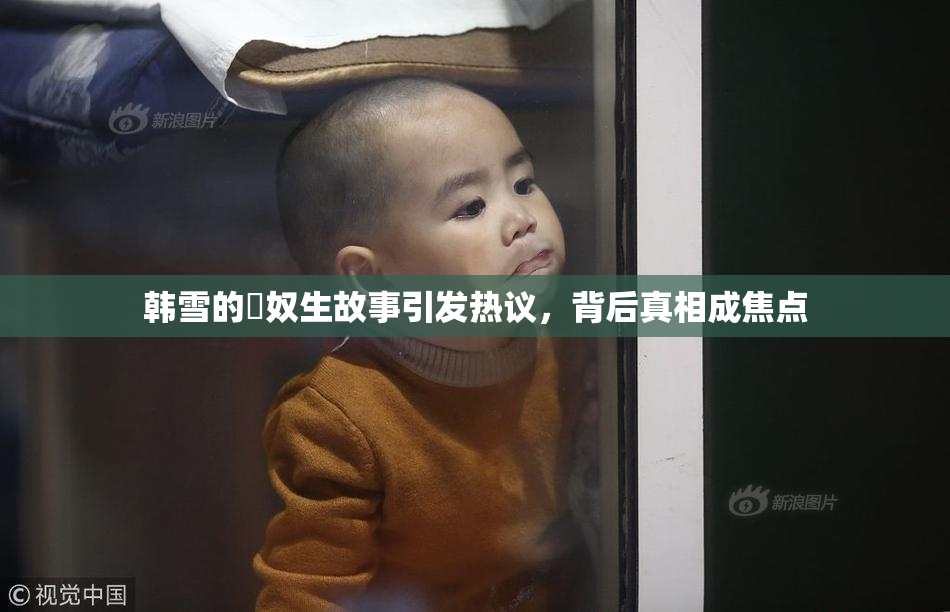 韩雪的婬奴生故事引发热议，背后真相成焦点