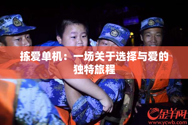 拣爱单机：一场关于选择与爱的独特旅程