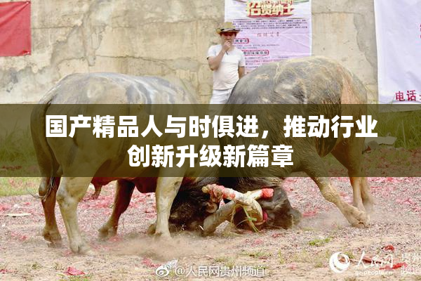 国产精品人与时俱进，推动行业创新升级新篇章
