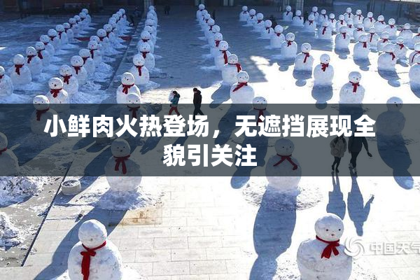 小鲜肉火热登场，无遮挡展现全貌引关注