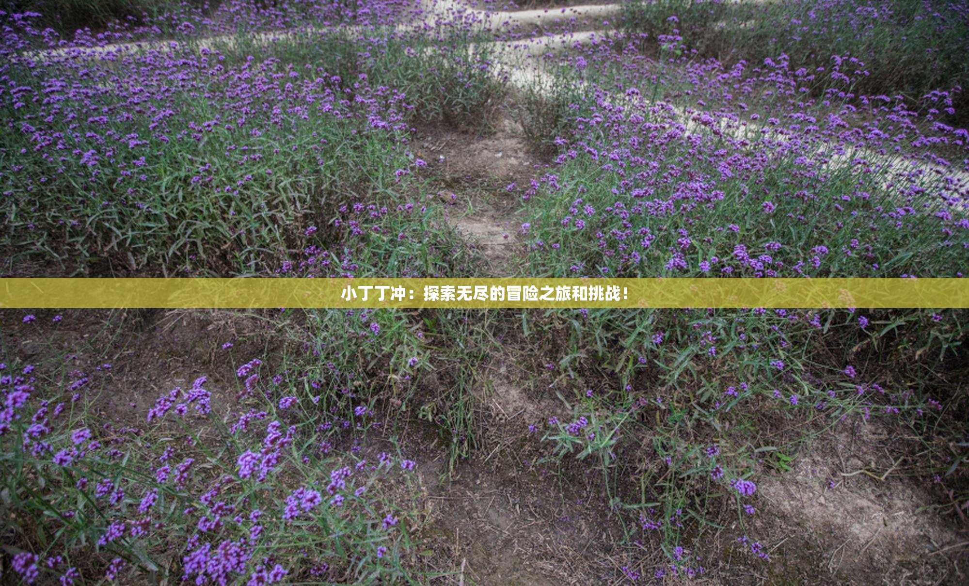 小丁丁冲：探索无尽的冒险之旅和挑战！