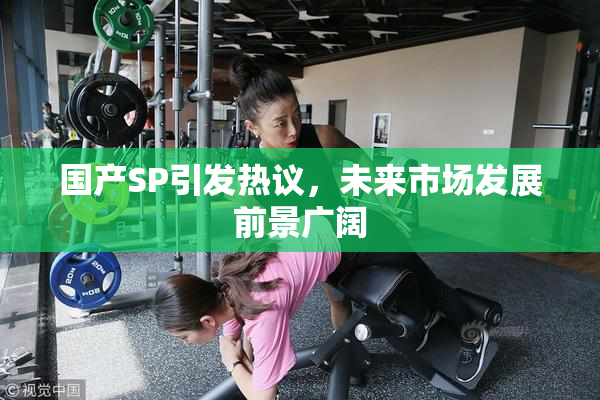 国产SP引发热议，未来市场发展前景广阔