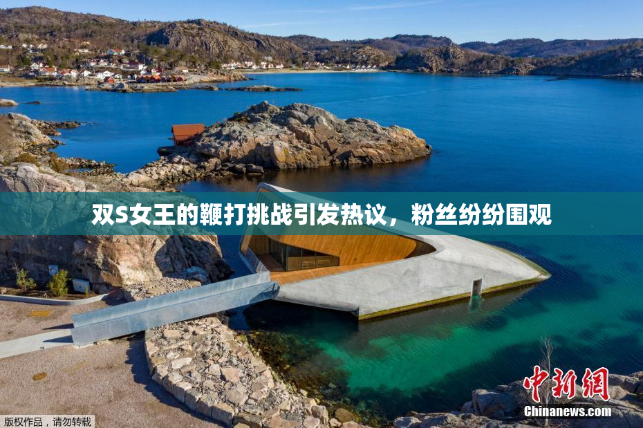 双S女王的鞭打挑战引发热议，粉丝纷纷围观
