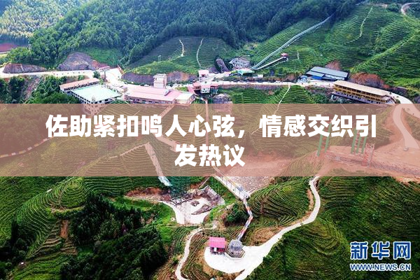 佐助紧扣鸣人心弦，情感交织引发热议